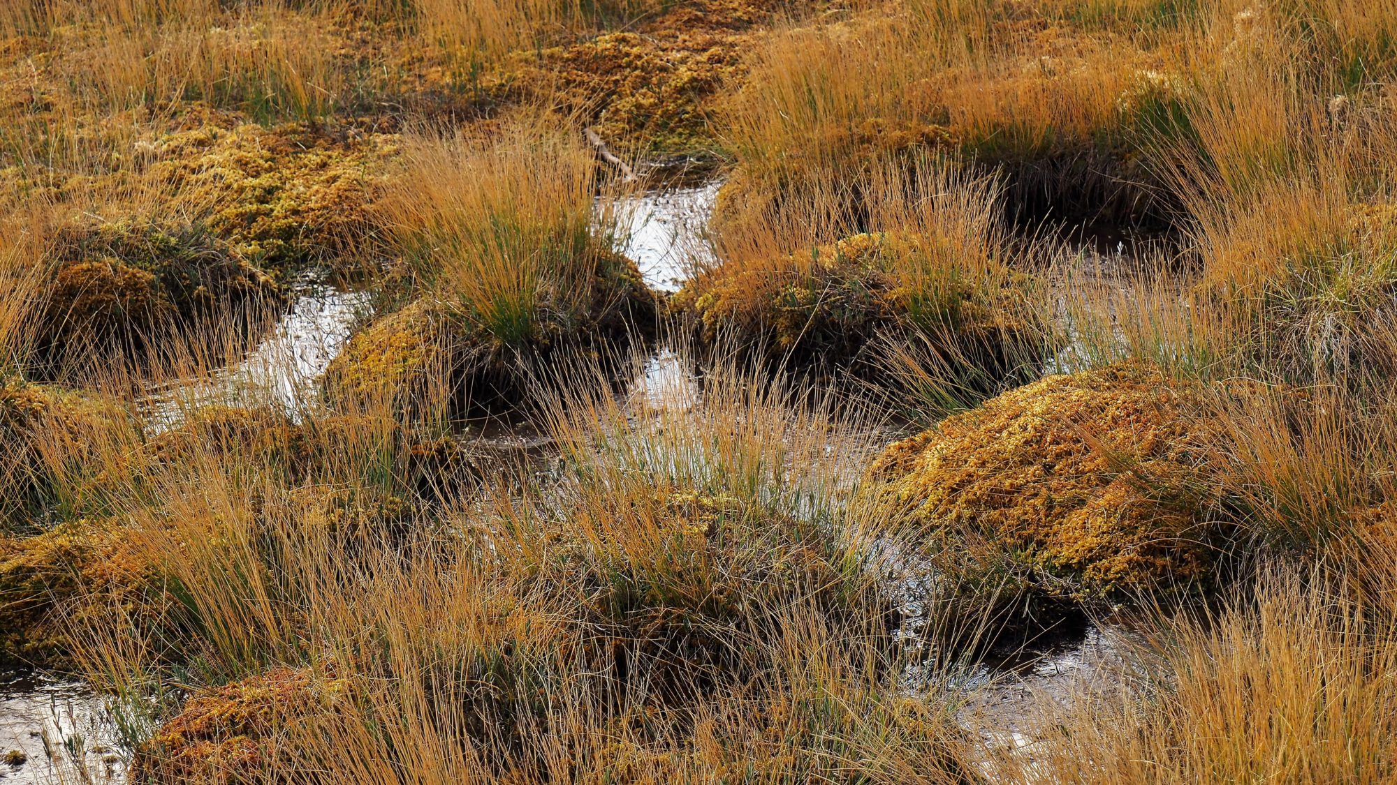 Valokuvaaja: Arja Valtonen