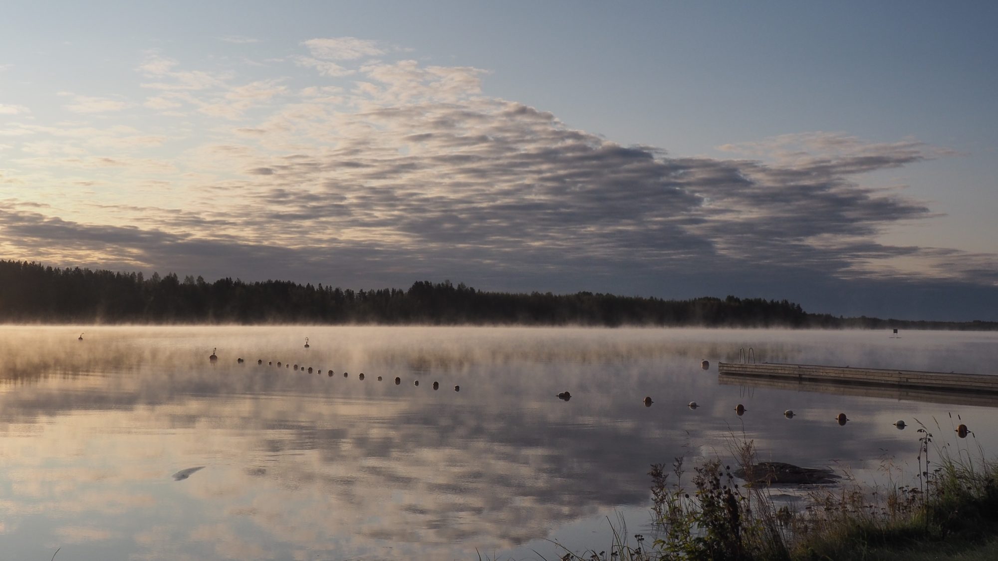 Valokuvaaja: Arja Valtonen