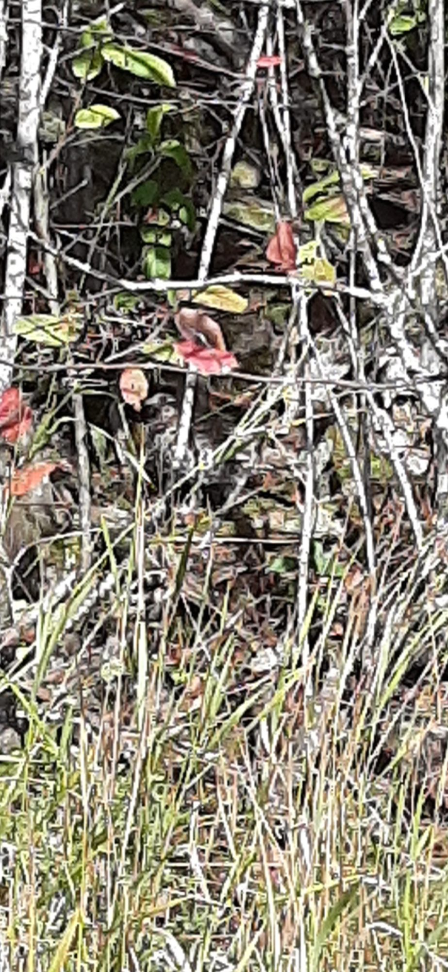 Valokuvaaja: Janne Suominen