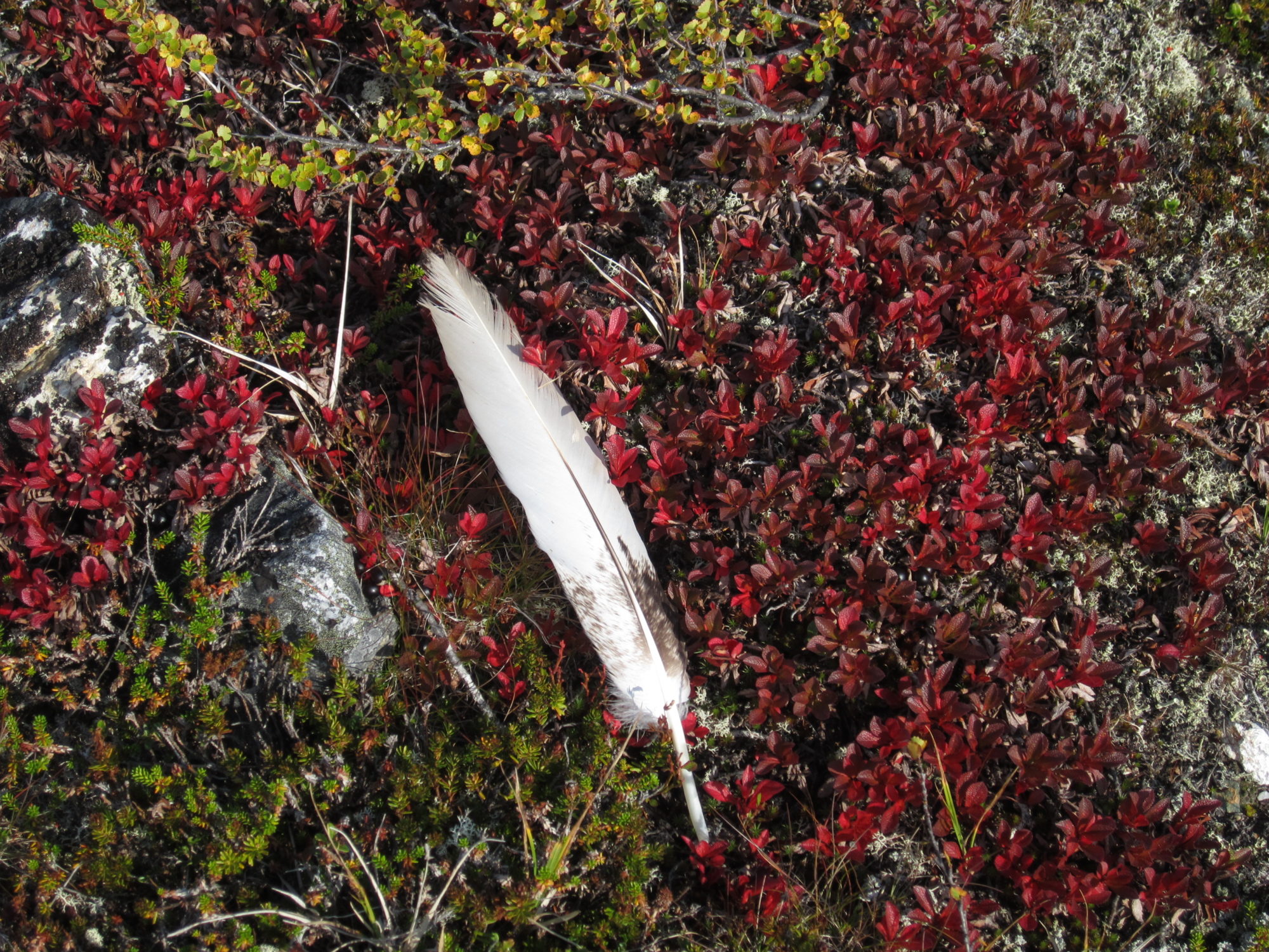 Valokuvaaja: Marita Portin