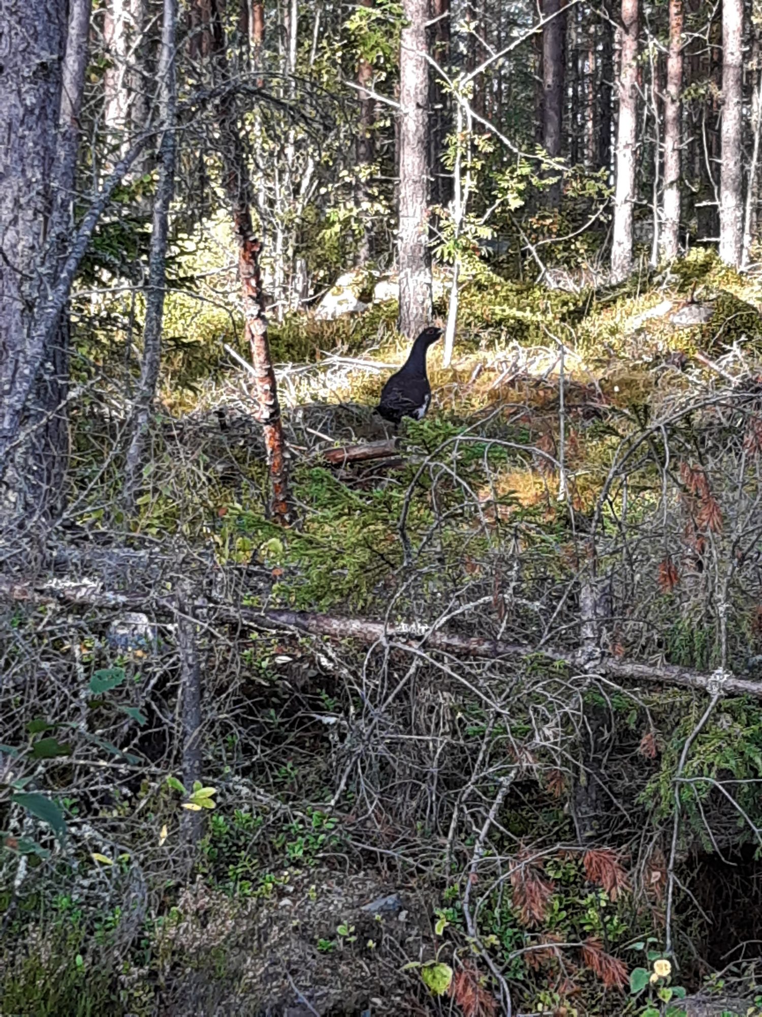 Valokuvaaja: Elina Kautto