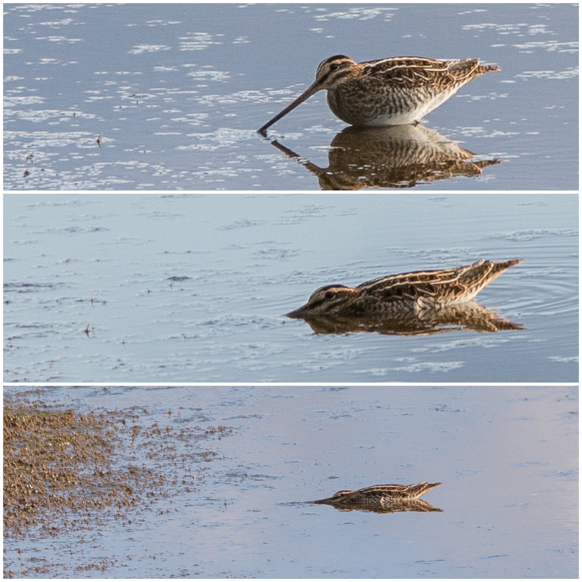 Valokuvaaja: Teija Ruuhola