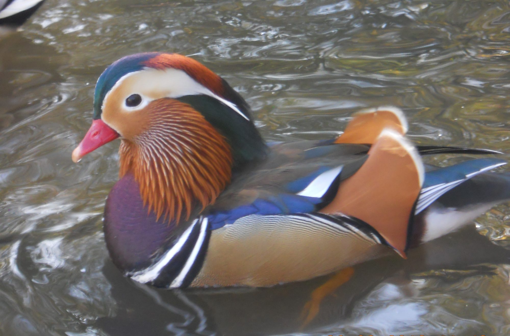 Valokuvaaja: Tiina Arlin