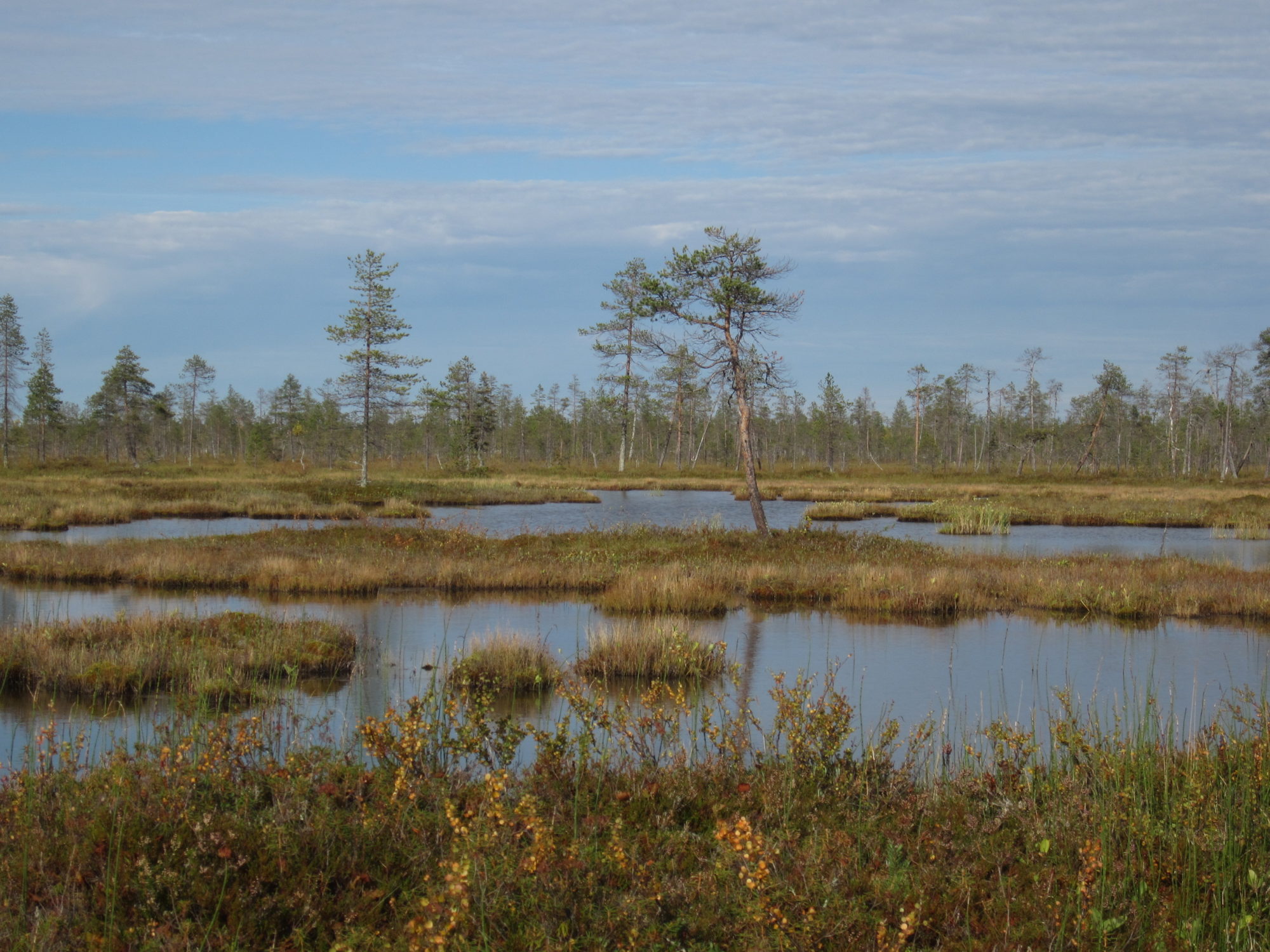 Valokuvaaja: Marita Portin