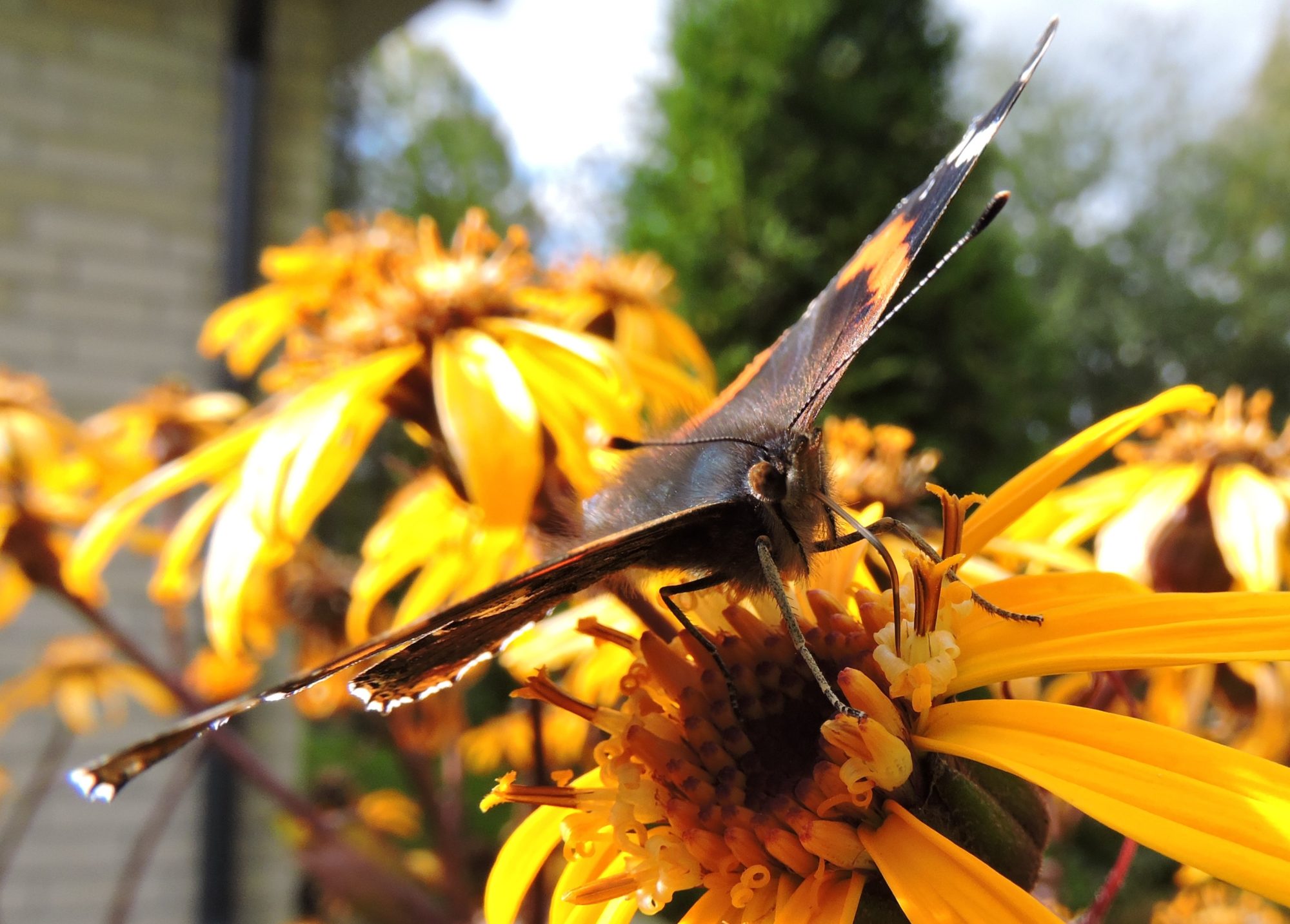 Valokuvaaja: Mervi Kaasalainen