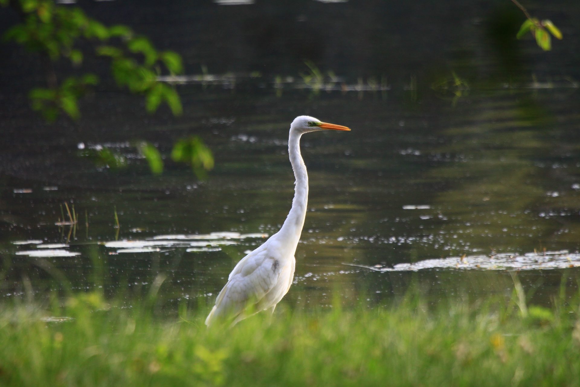 Valokuvaaja: Berndt Hannelius