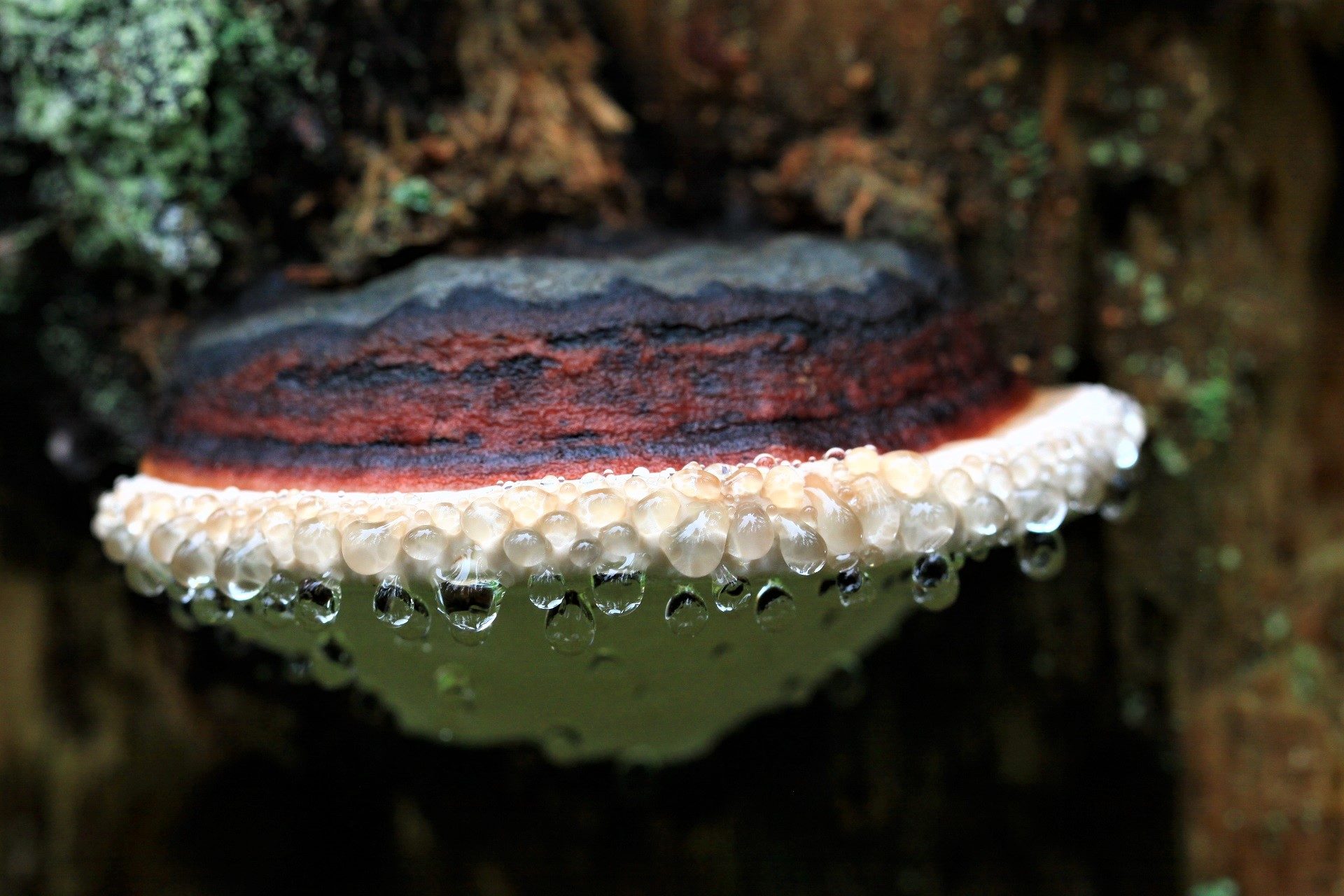 Valokuvaaja: Berndt Hannelius