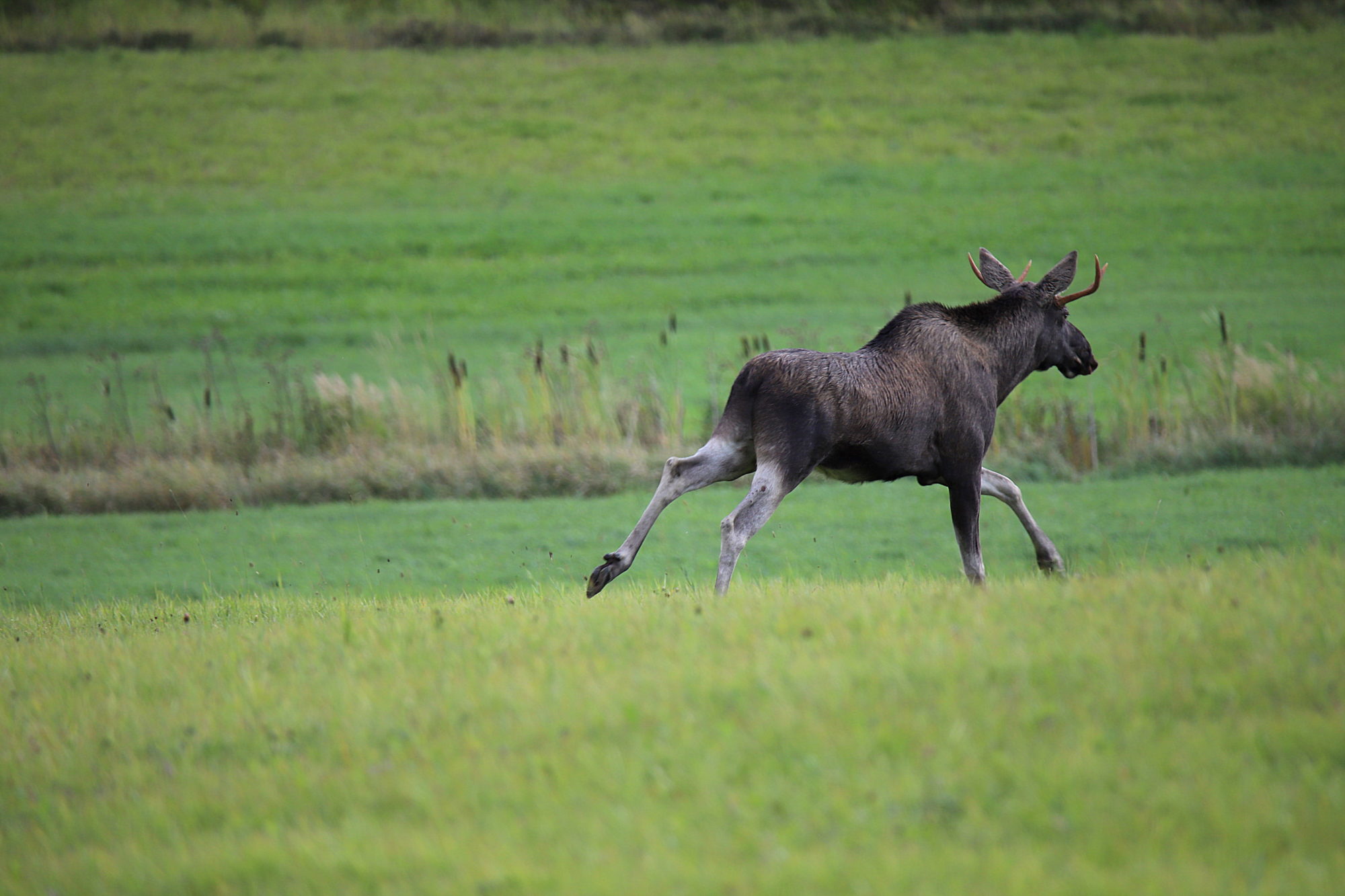 Valokuvaaja: sirpa jyske Valokuvaaja: sirpa jyske