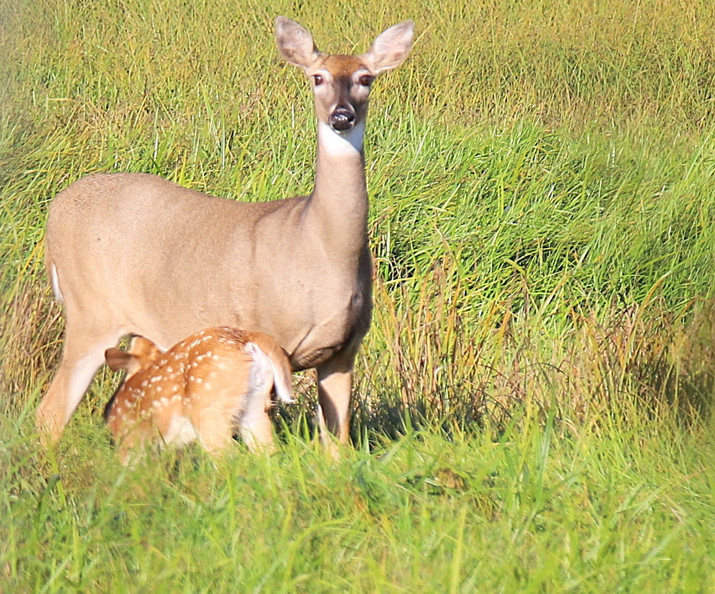 Valokuvaaja: sirpa jyske