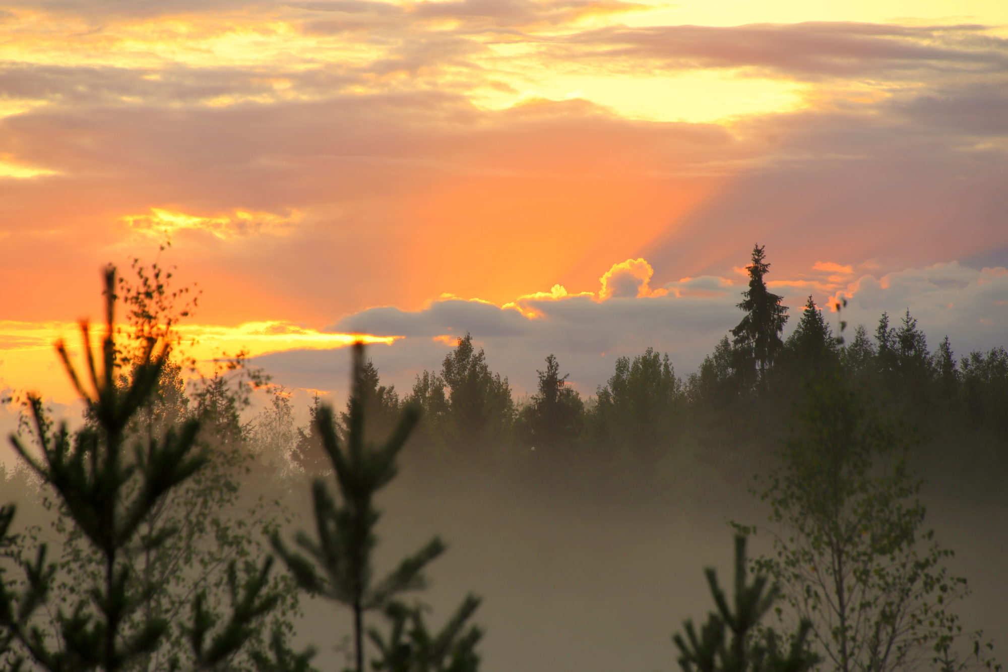 Valokuvaaja: sirpa jyske Valokuvaaja: sirpa jyske