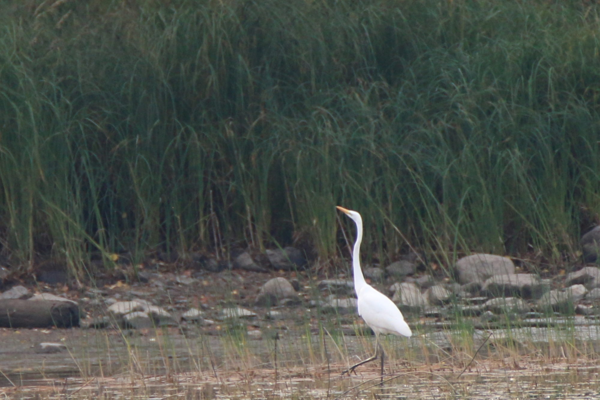 Valokuvaaja: Ahti Keränen