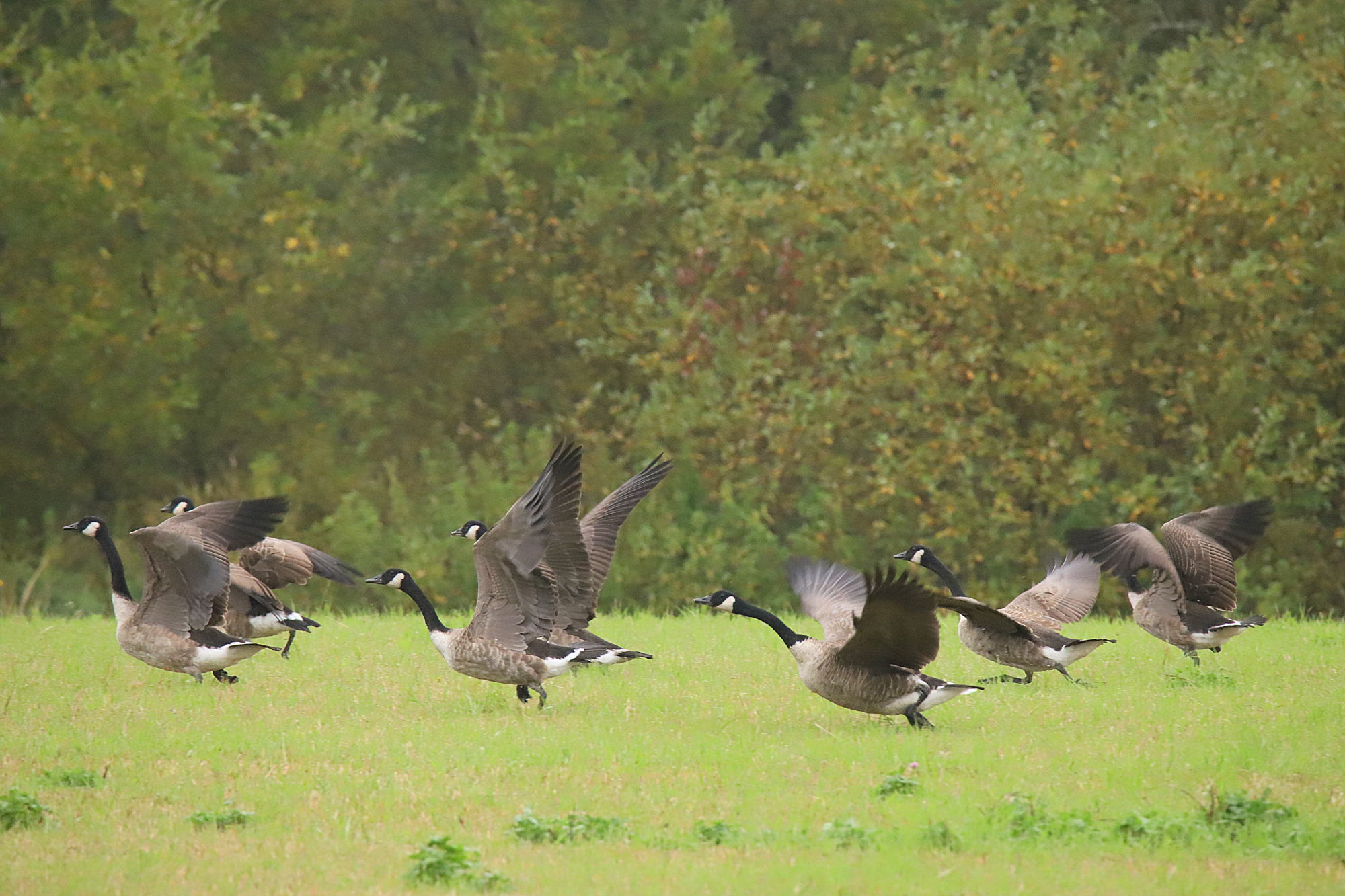 Valokuvaaja: sirpa jyske