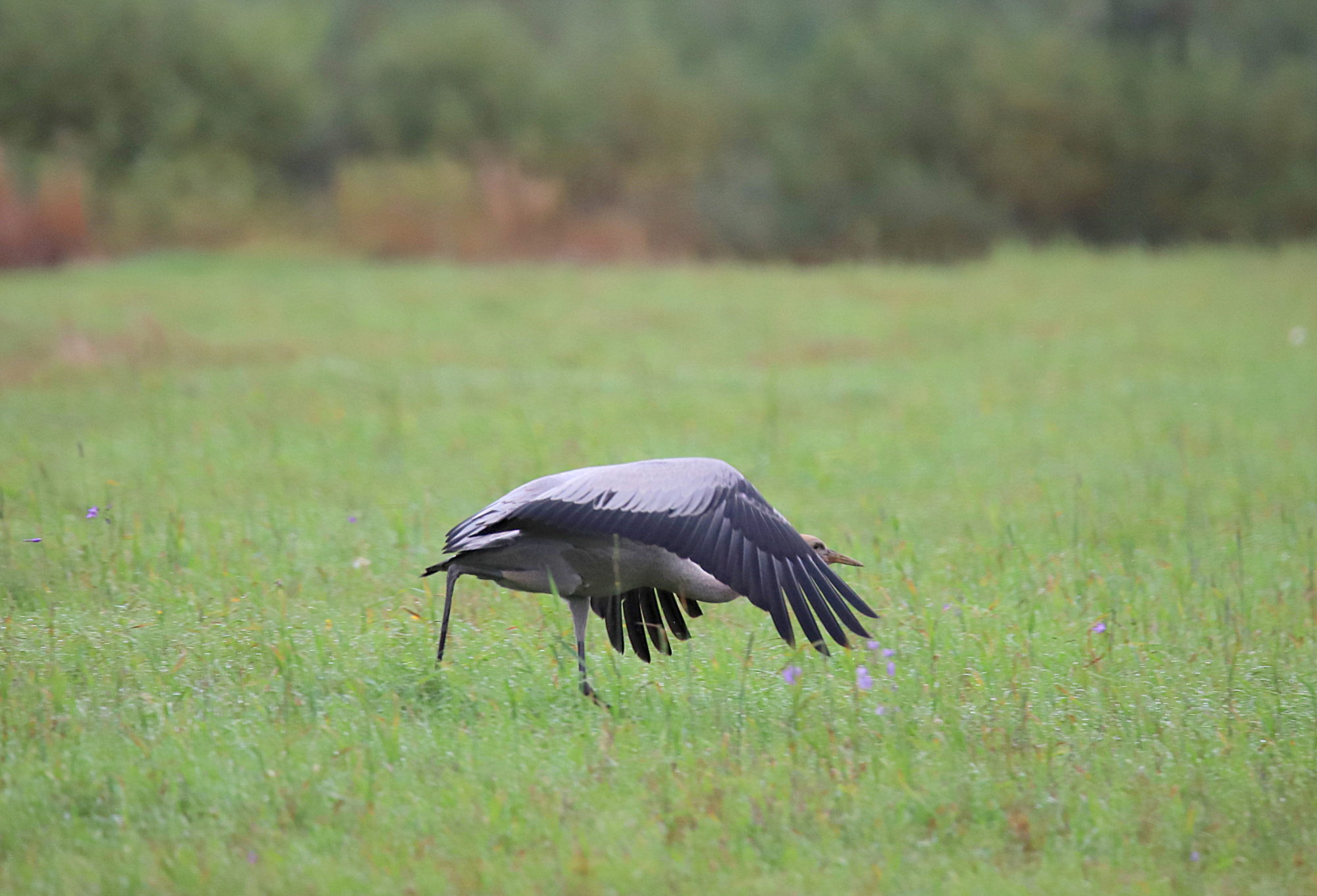 Valokuvaaja: sirpa jyske
