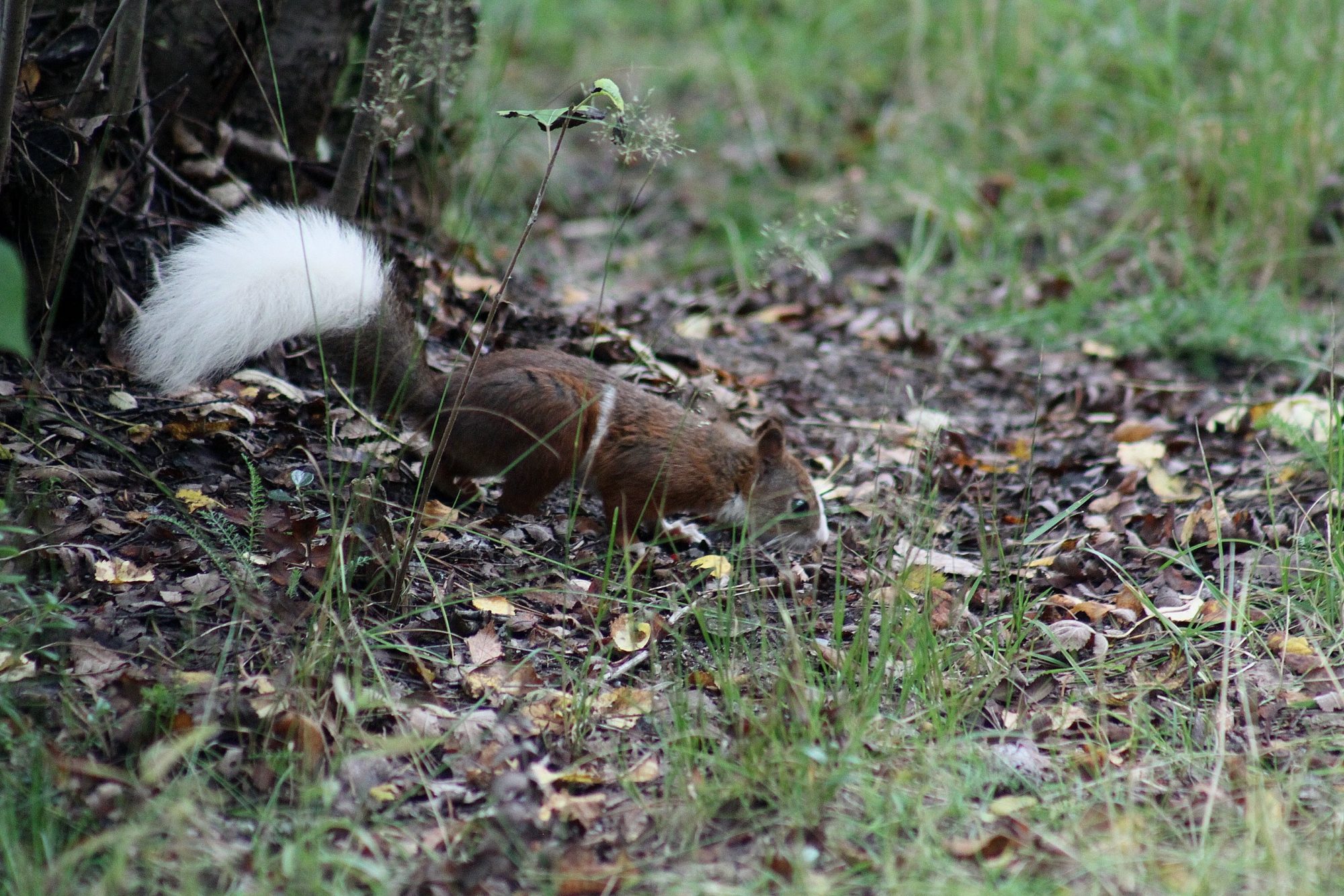 Valokuvaaja: Pirkko Siukonen
