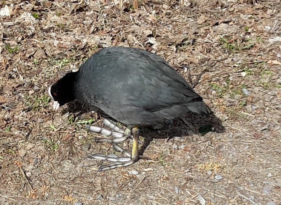 Valokuvaaja: Tuija Söderholm