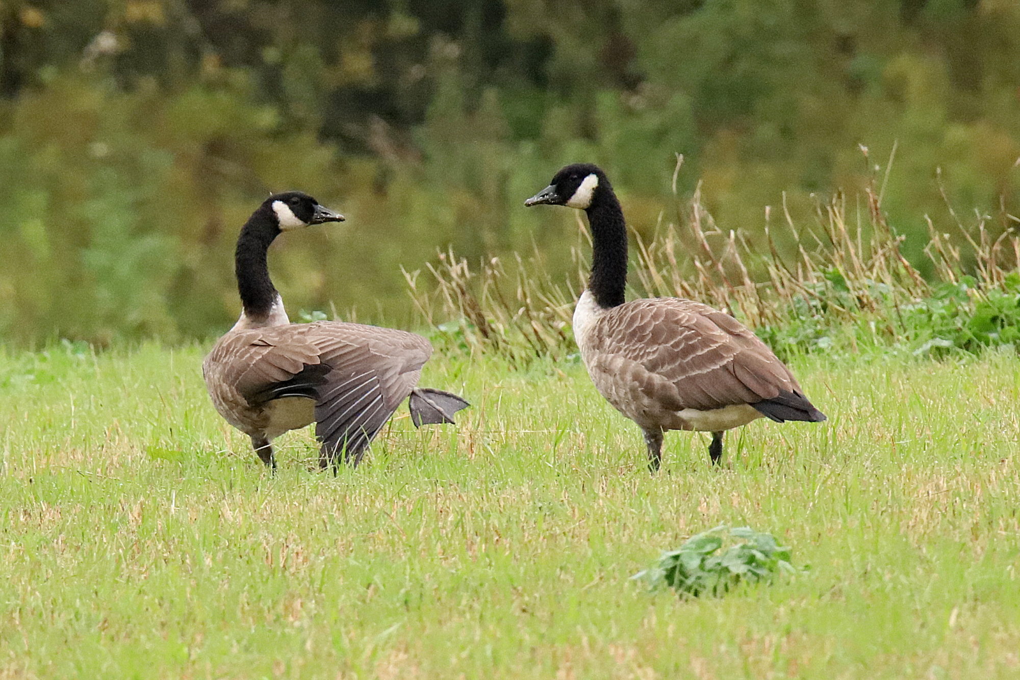 Valokuvaaja: sirpa jyske