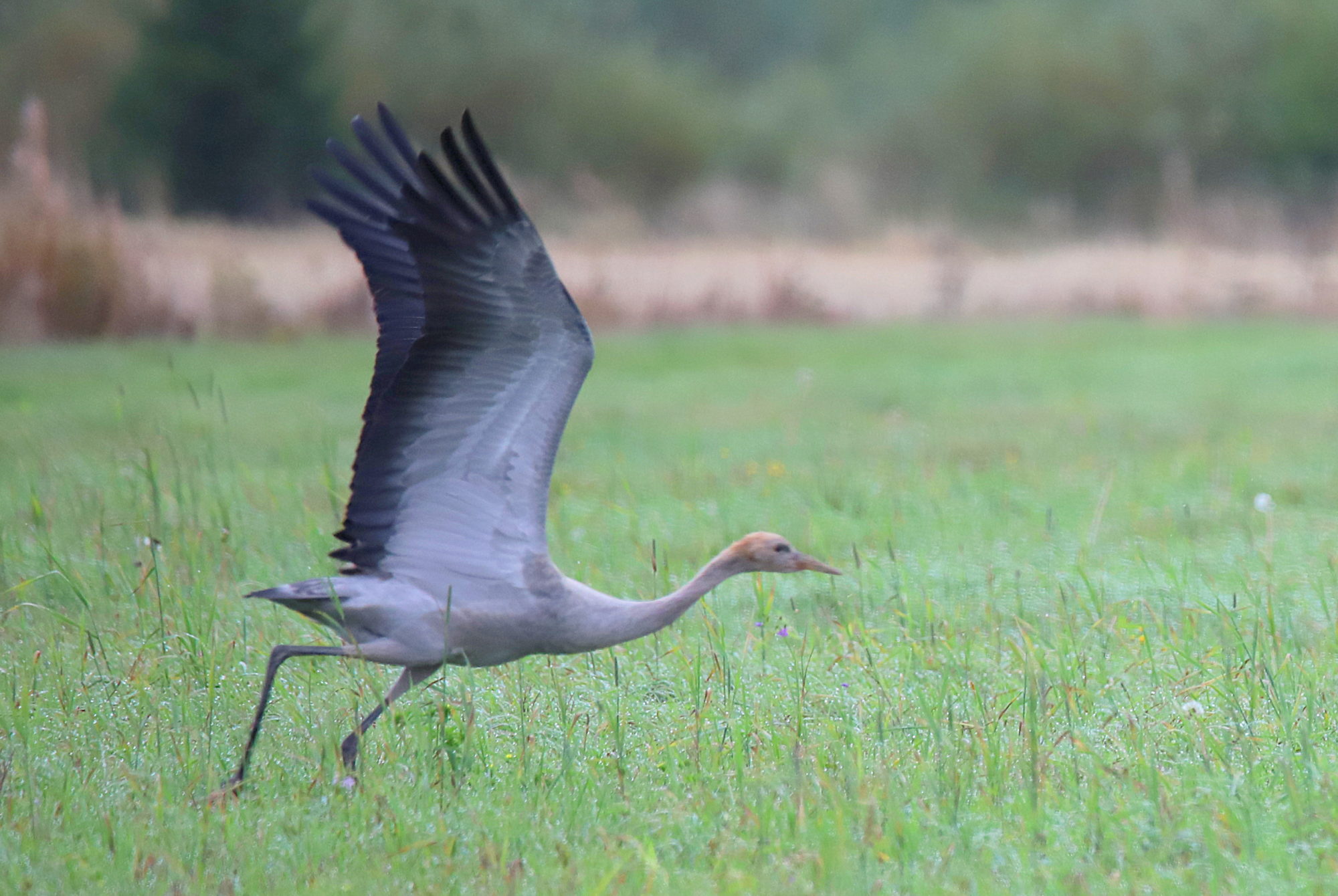 Valokuvaaja: sirpa jyske