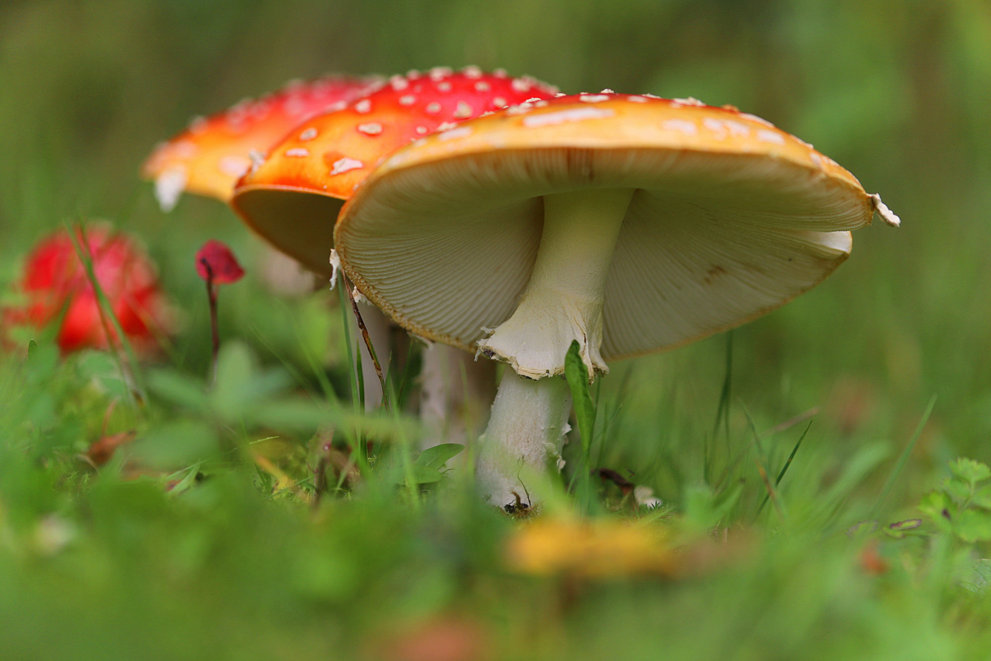 Valokuvaaja: sirpa jyske