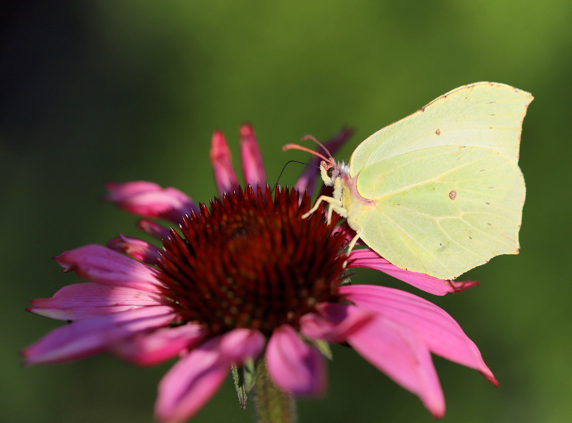 Valokuvaaja: sirpa jyske
