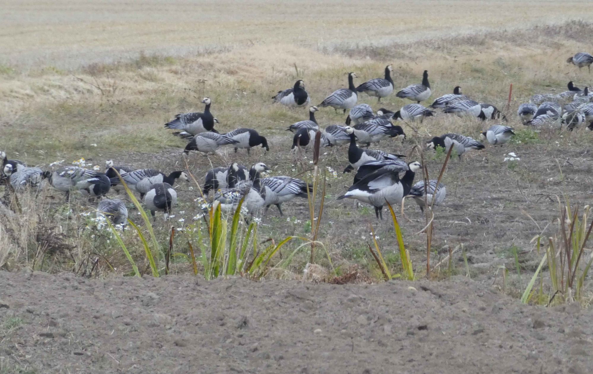 Valokuvaaja: Anja Mustamaa