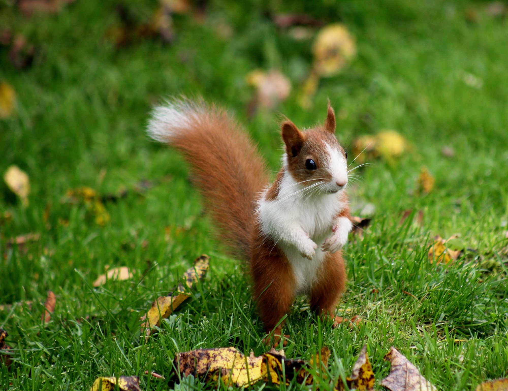 Valokuvaaja: Pirkko Siukonen