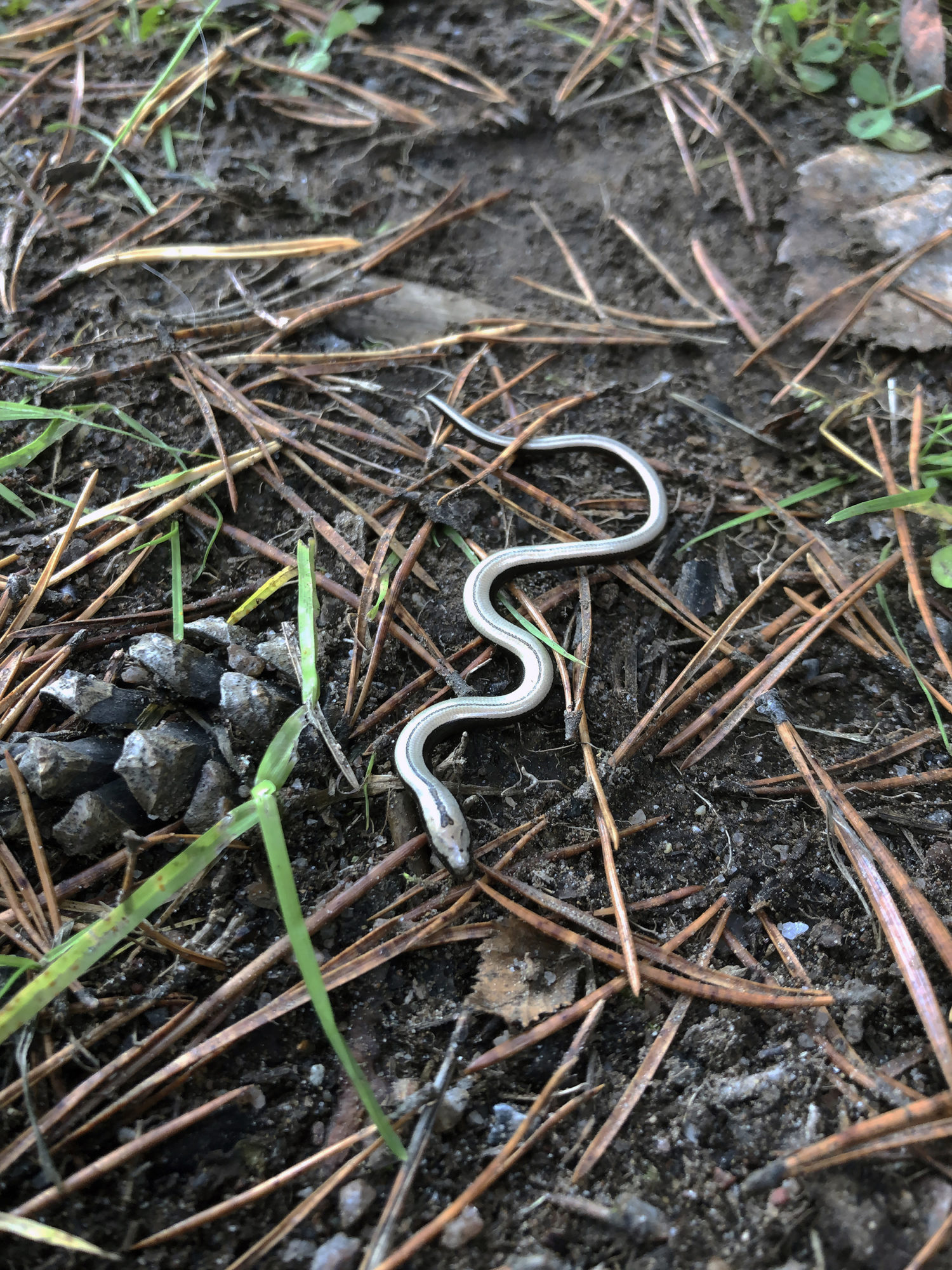 Valokuvaaja: Joni Sundström