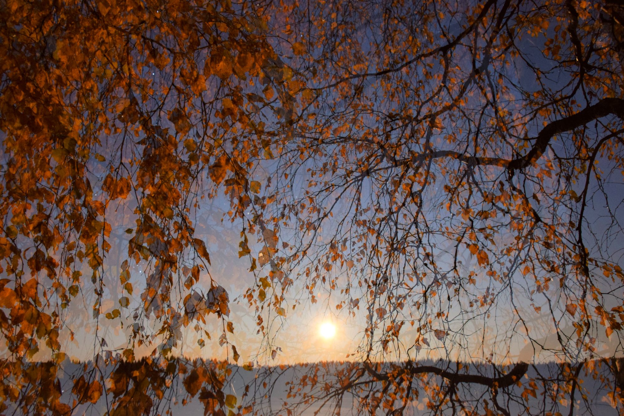 Valokuvaaja: Leena Rissanen