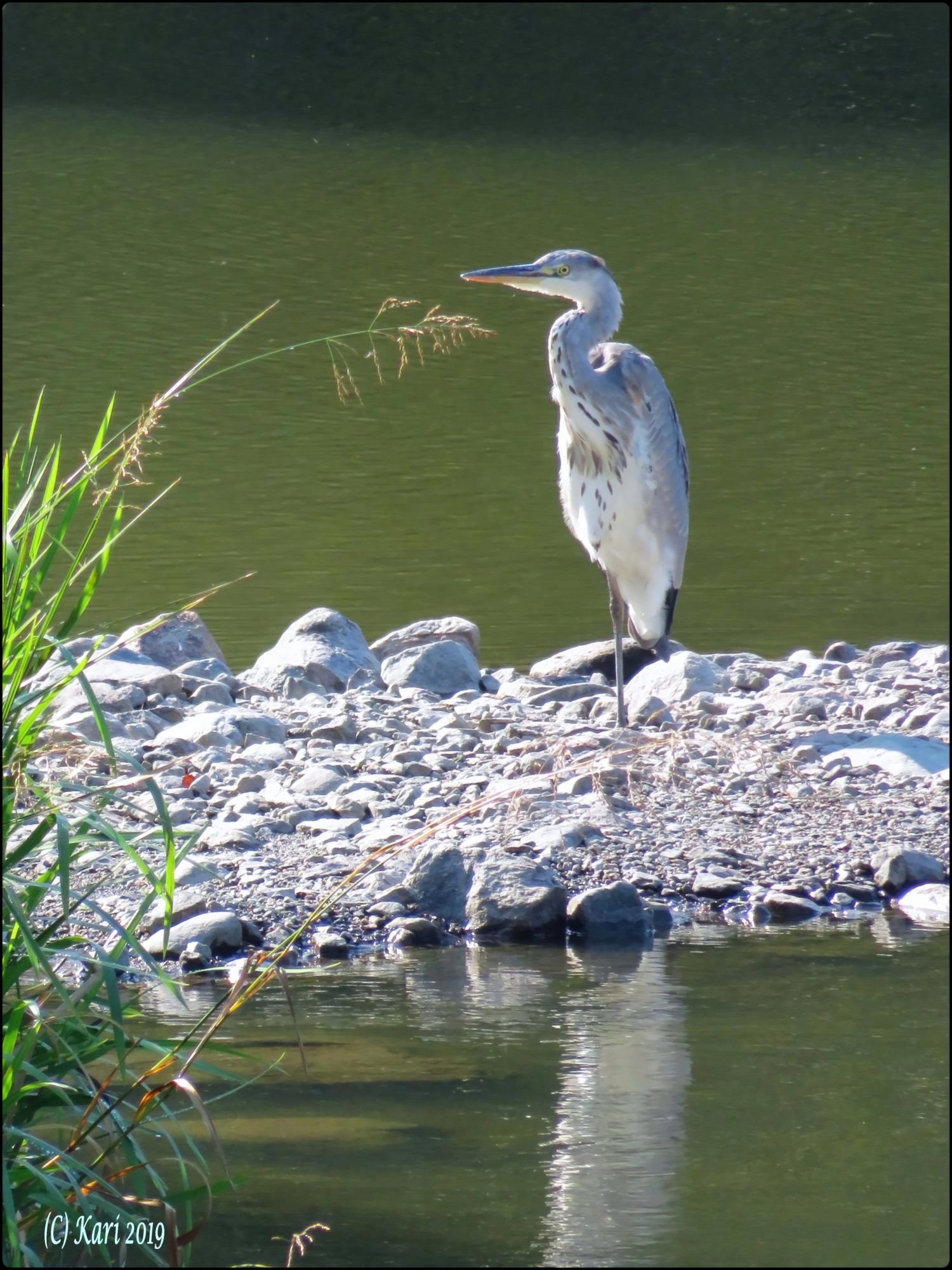 Valokuvaaja: Kari Saarinen