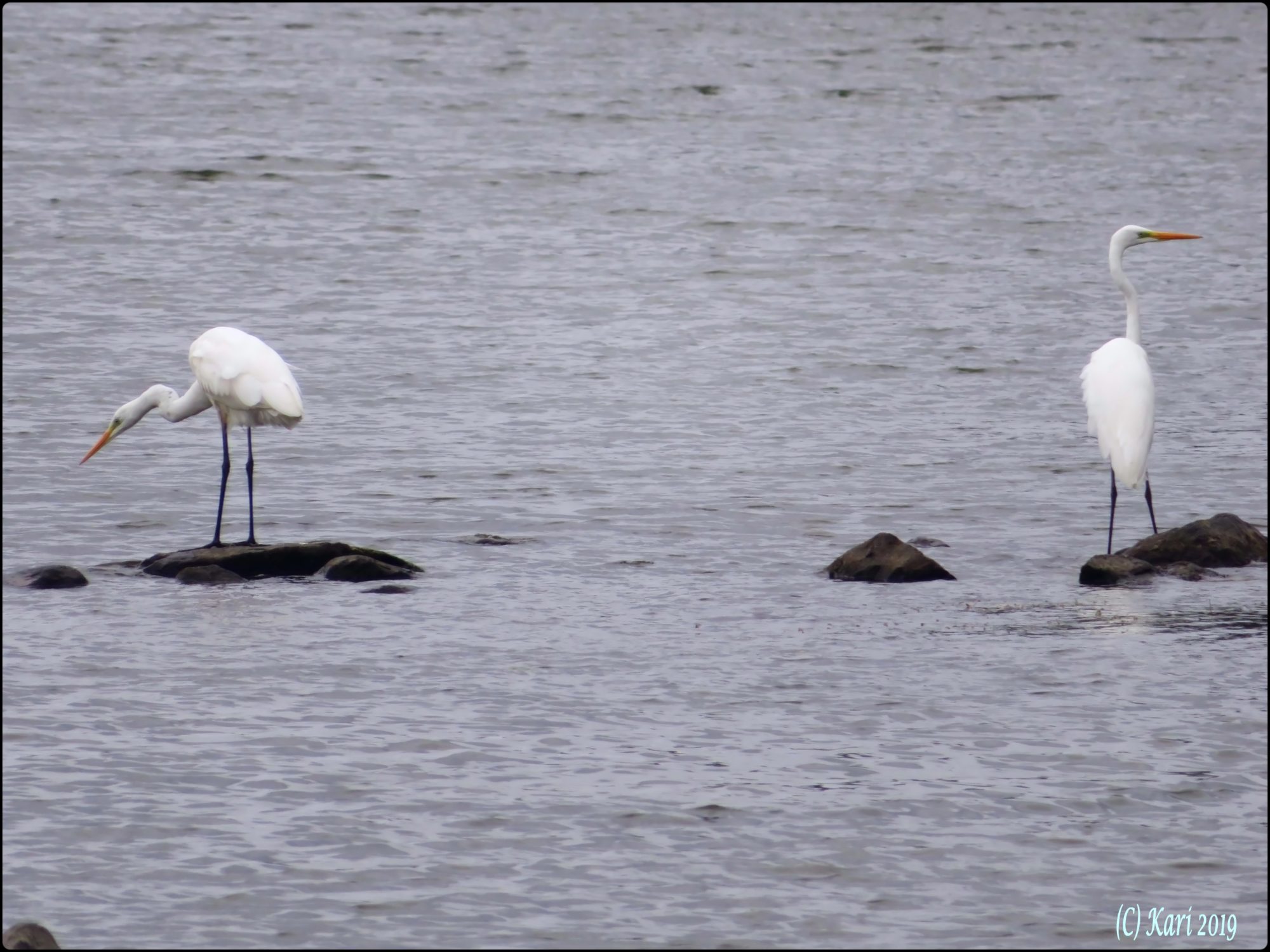 Valokuvaaja: Kari Saarinen