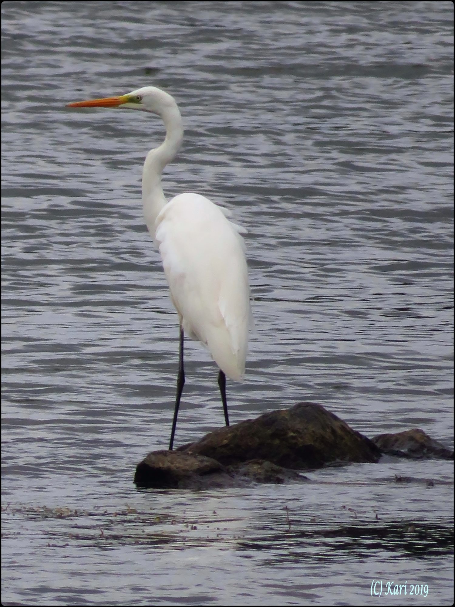 Valokuvaaja: Kari Saarinen