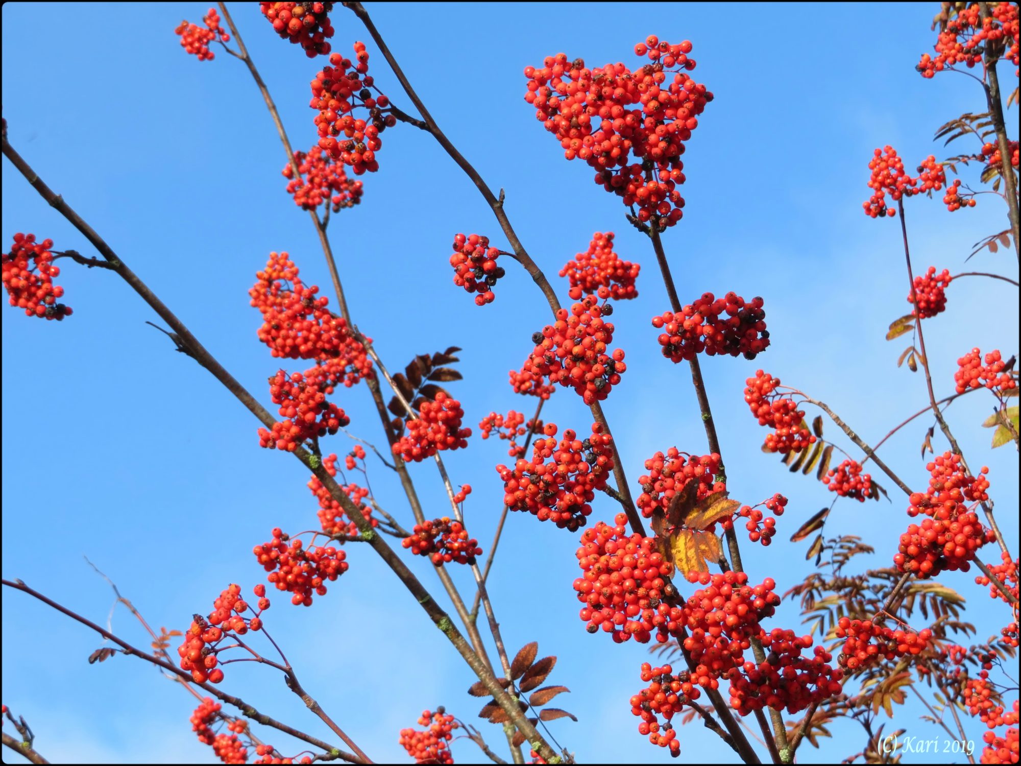 Valokuvaaja: Kari Saarinen