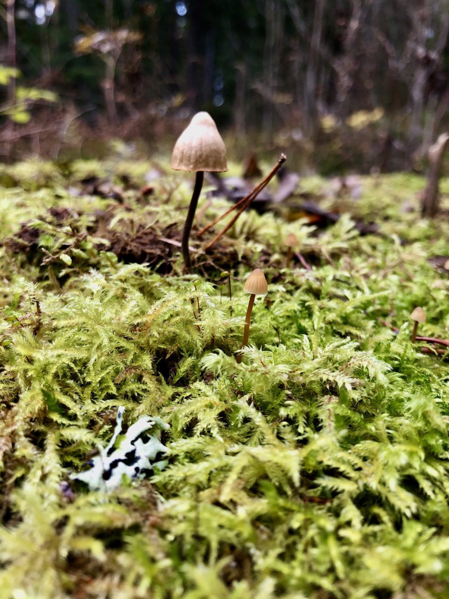 Valokuvaaja: Pirjo Kallio