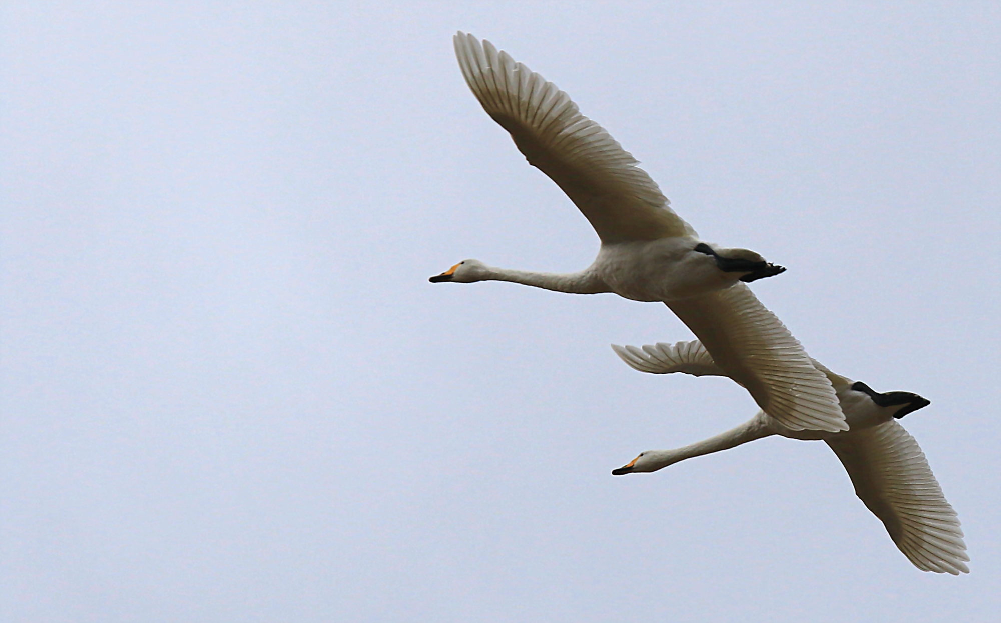 Valokuvaaja: reijo lehtonen