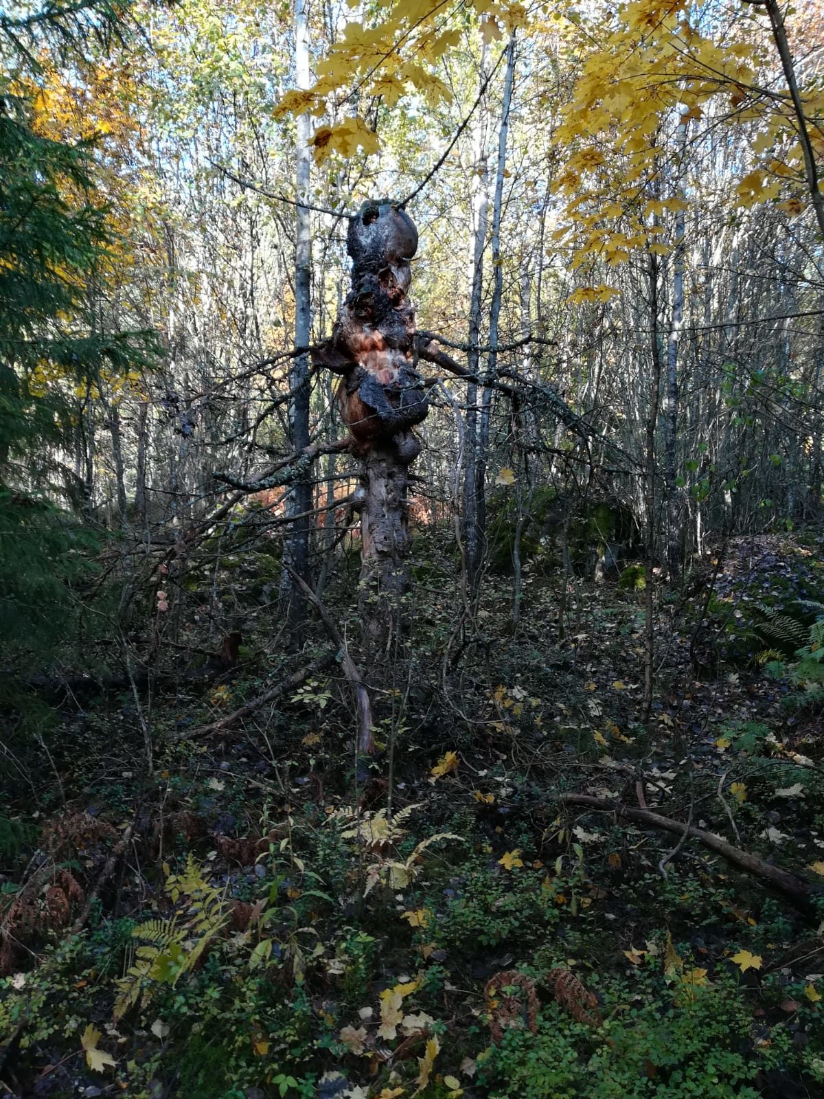 Valokuvaaja: Gerhard Baer