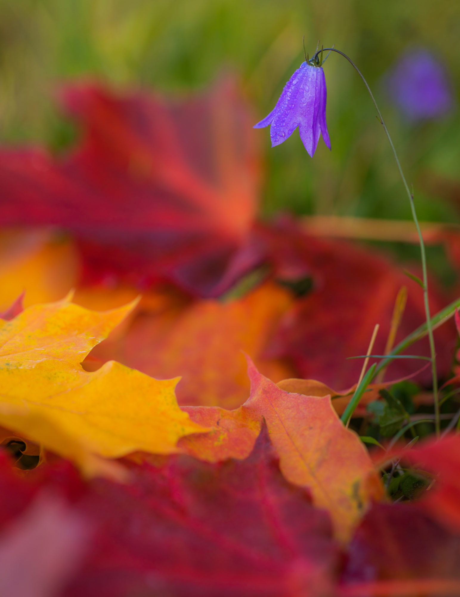 Valokuvaaja: Jukka Risikko