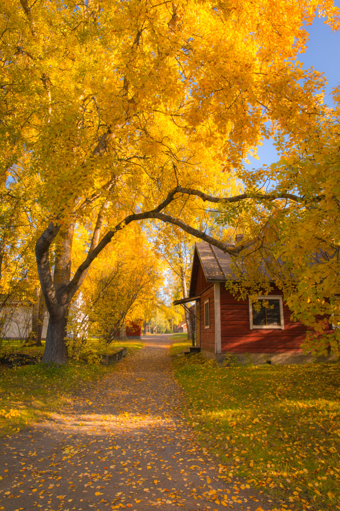 Valokuvaaja: Jukka Risikko