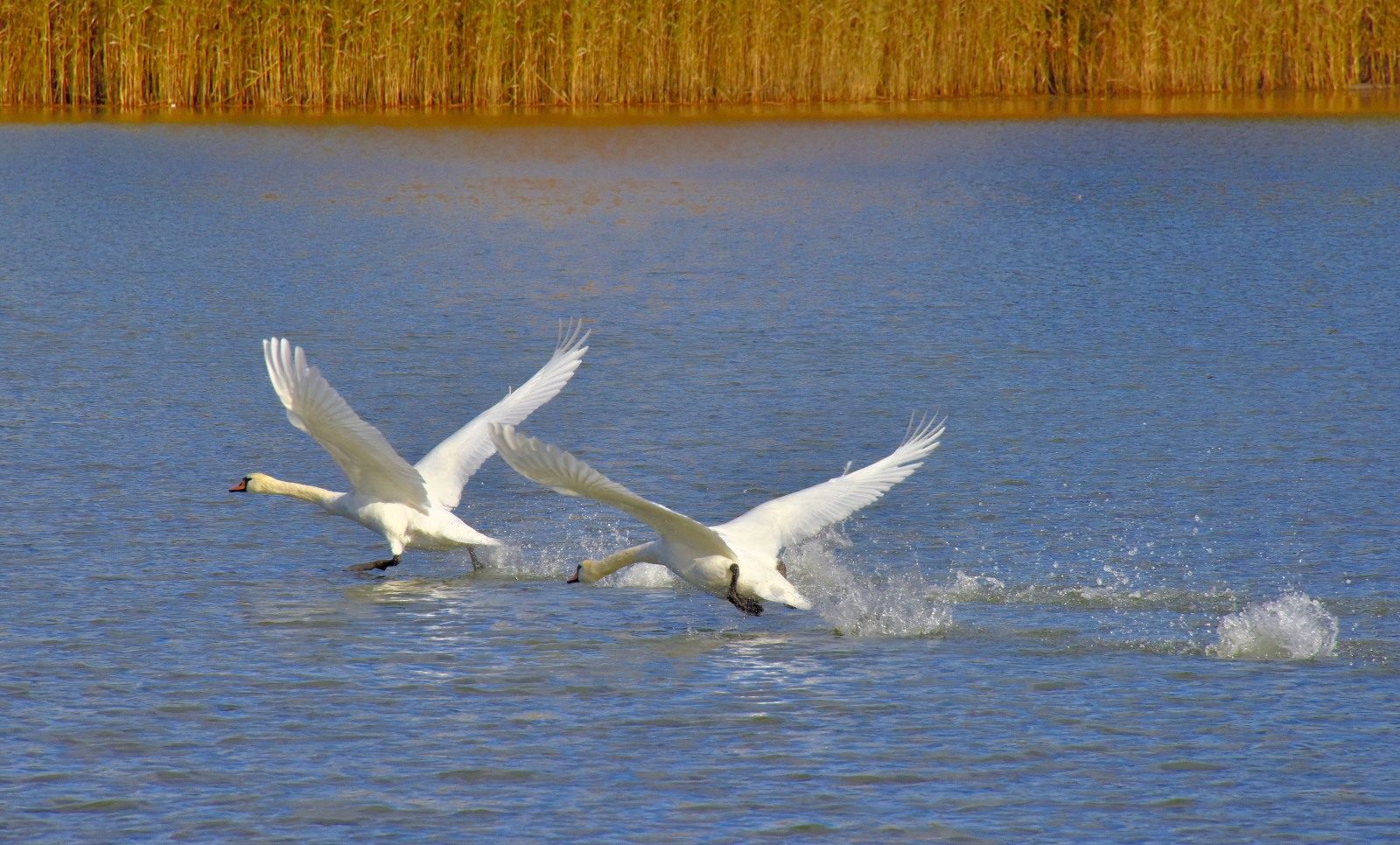 Valokuvaaja: Reijo Juurinen