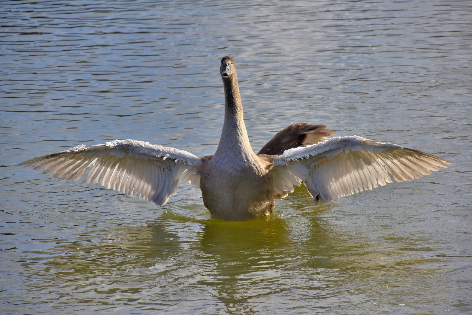 Valokuvaaja: Reijo Juurinen Valokuvaaja: Reijo Juurinen