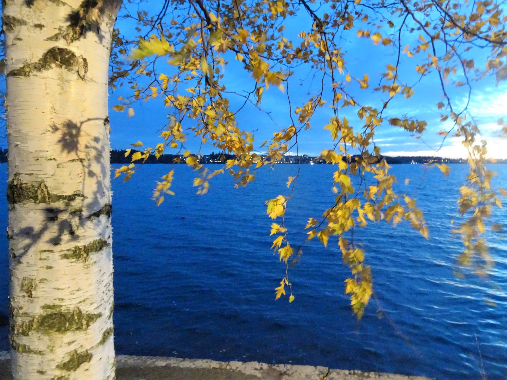 Valokuvaaja: Irja Lehtinen