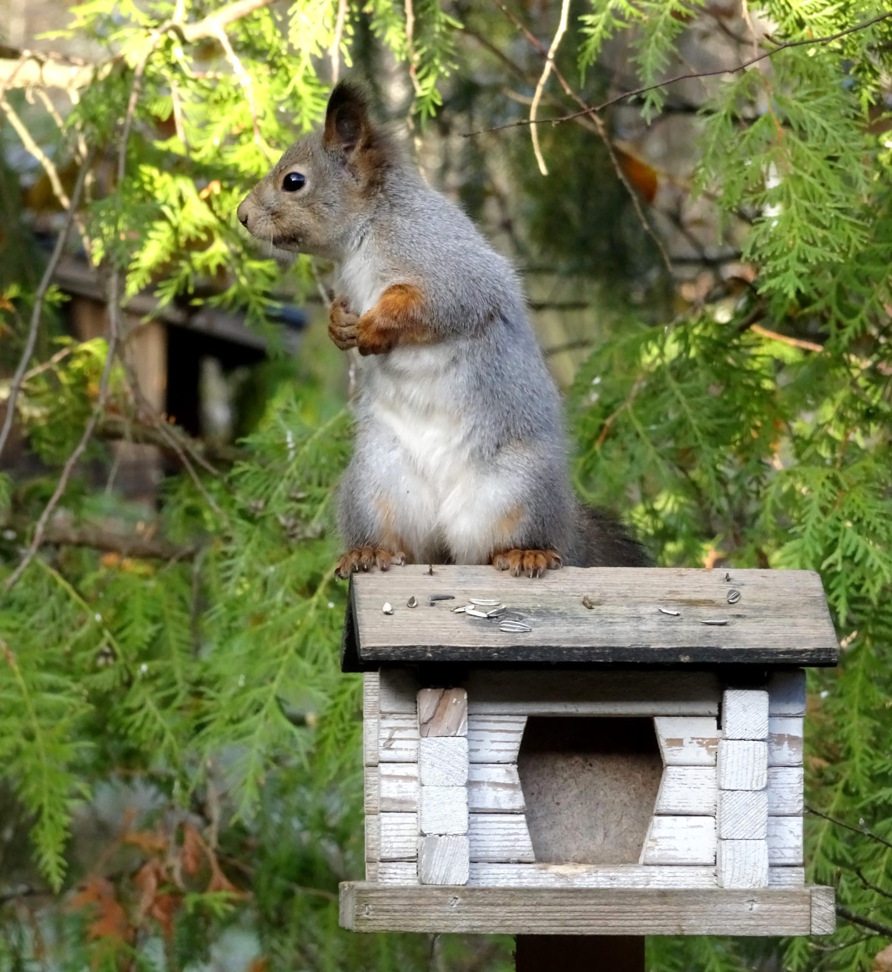 Valokuvaaja: Irja Lehtinen