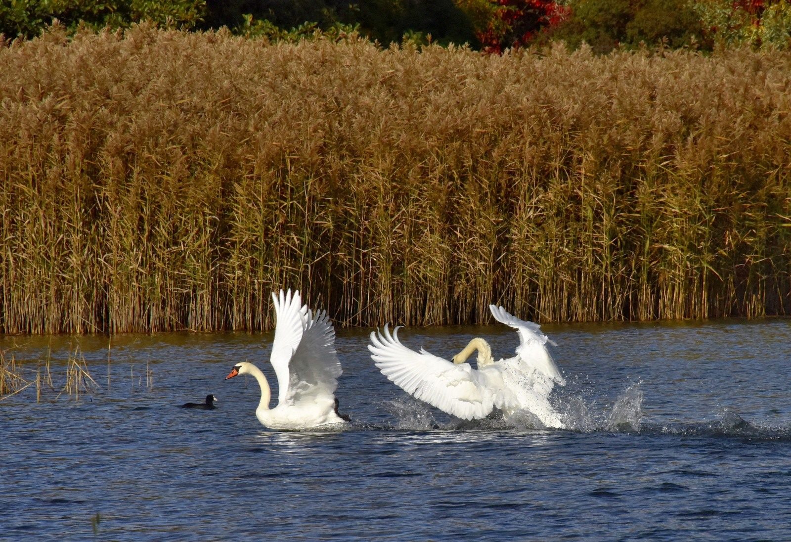 Valokuvaaja: Reijo Juurinen