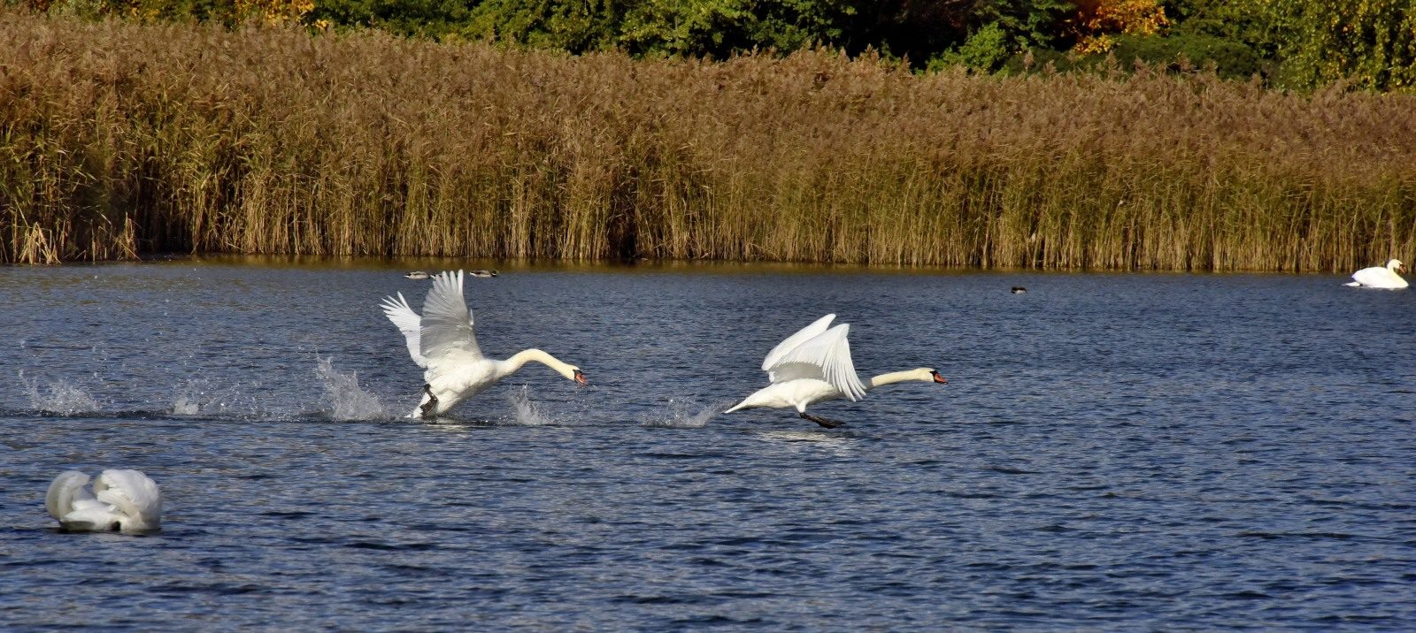 Valokuvaaja: Reijo Juurinen