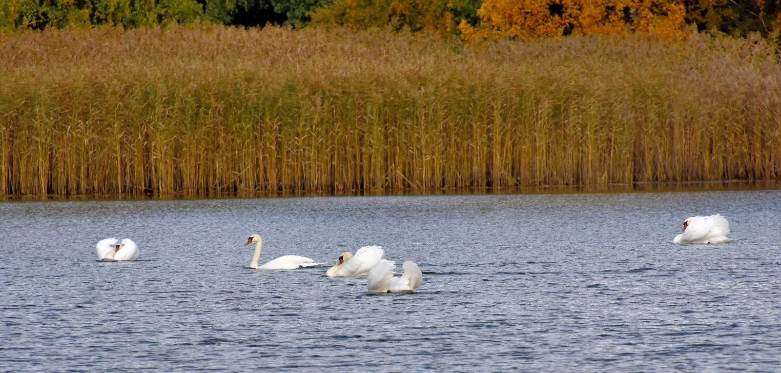Valokuvaaja: Reijo Juurinen