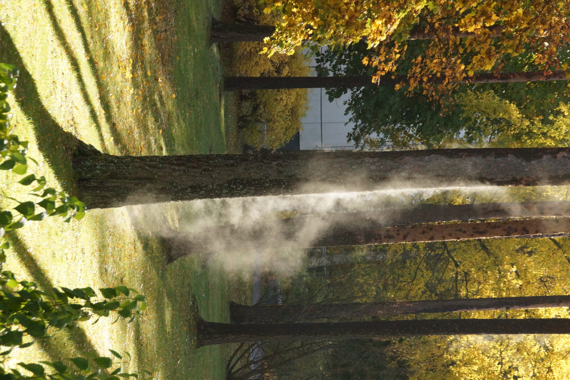 Valokuvaaja: Ensio Häkkinen