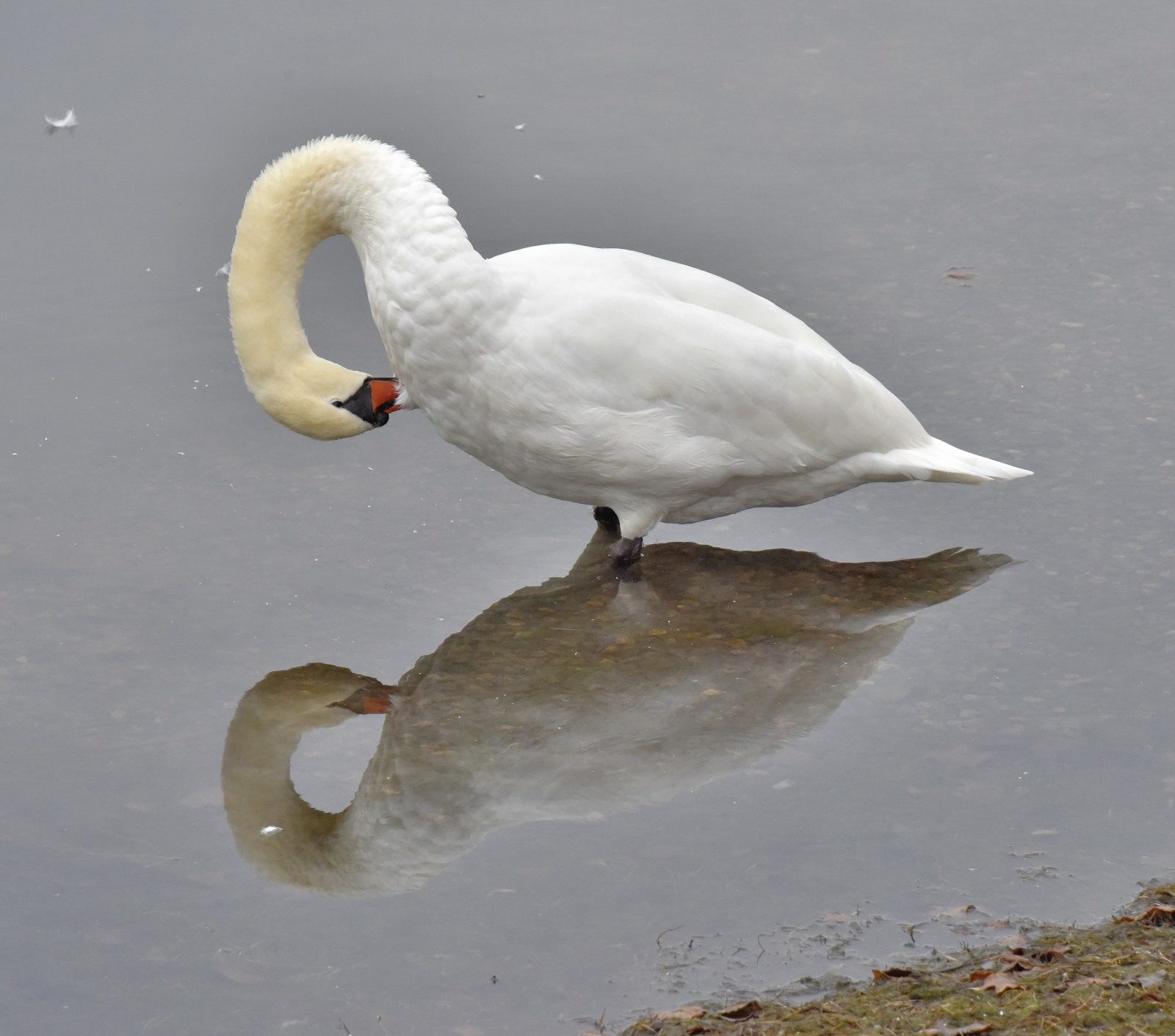 Valokuvaaja: Reijo Juurinen