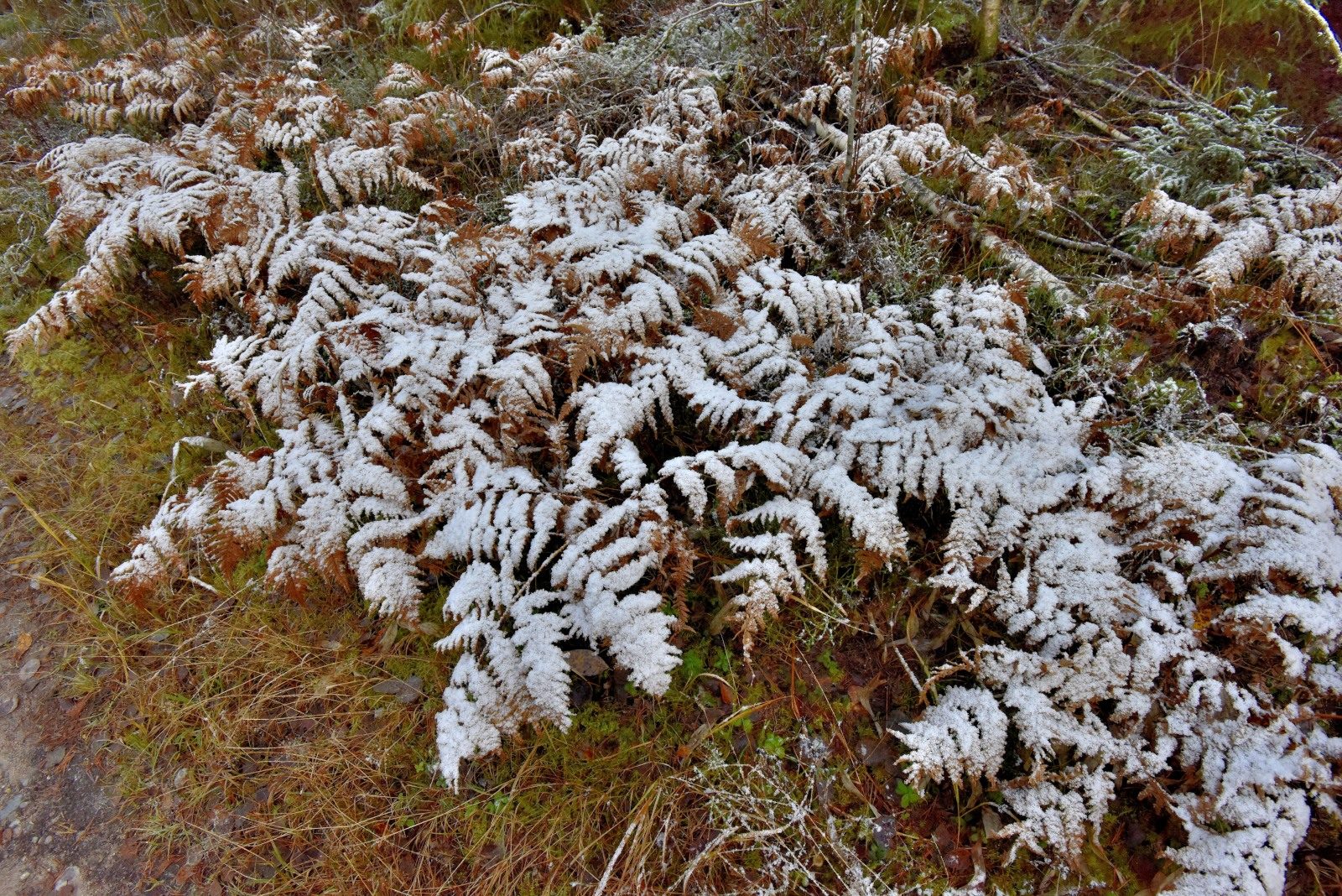 Valokuvaaja: Reijo Juurinen