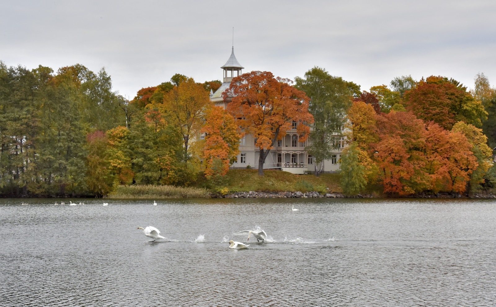 Valokuvaaja: Reijo Juurinen