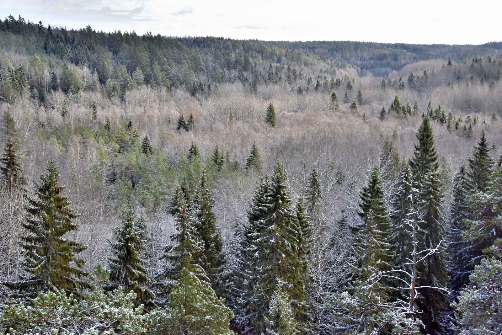 Valokuvaaja: Reijo Juurinen