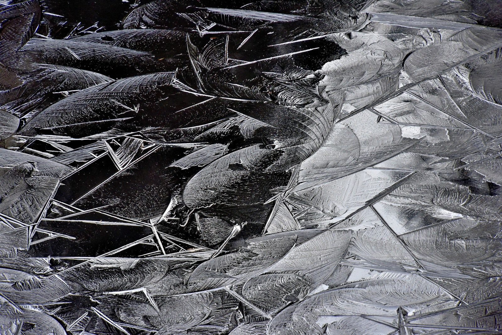 Valokuvaaja: Reijo Juurinen