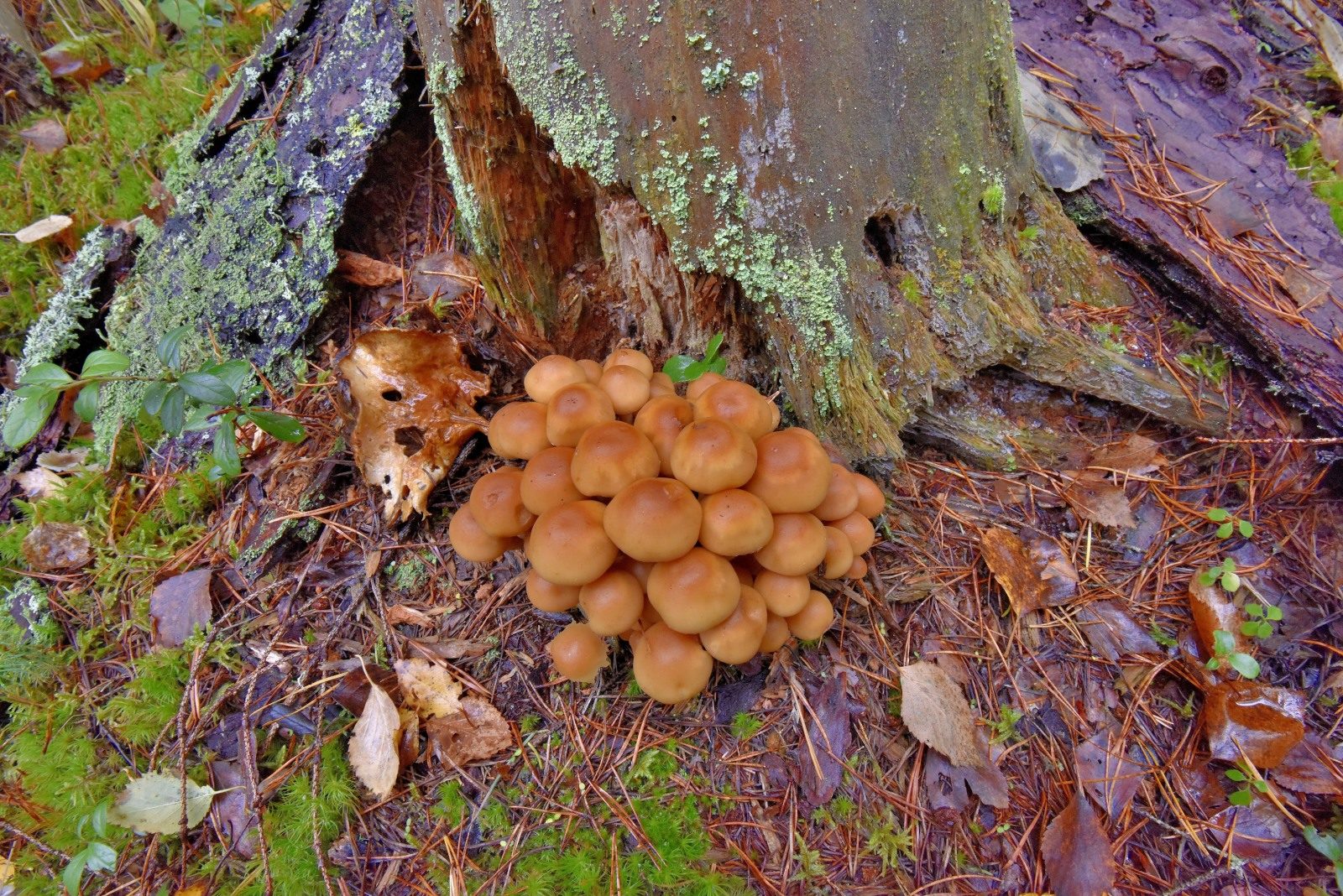 Valokuvaaja: Reijo Juurinen